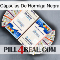 Cápsulas De Hormiga Negra kamagra1